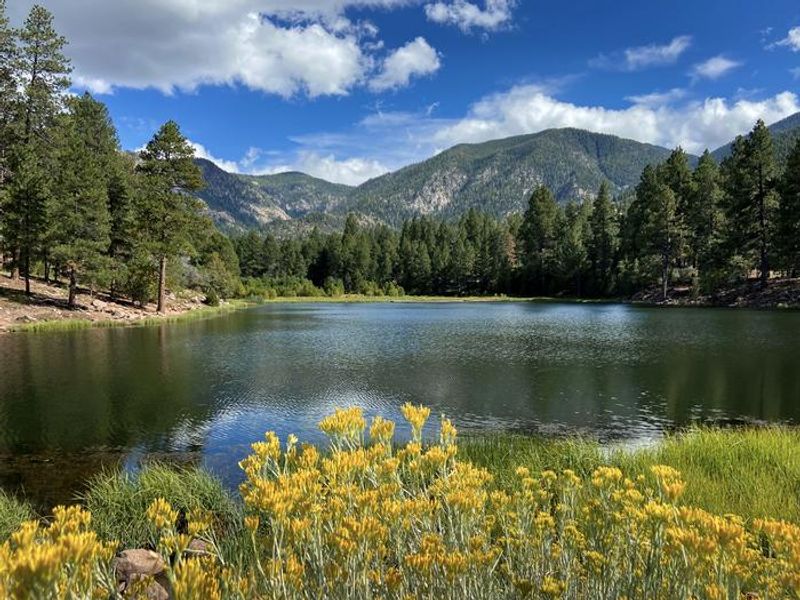 Pine Valley reservoir located a short walking distance from the guard station cabin.