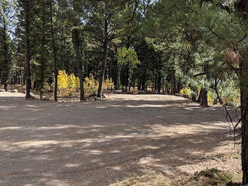 New Group Area Parking