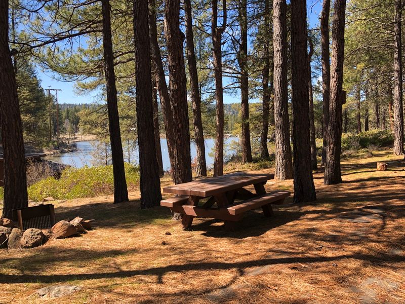 View of an empty campsite at Topsy Recreation Site