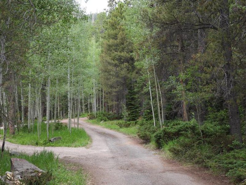 Pull through campsite 