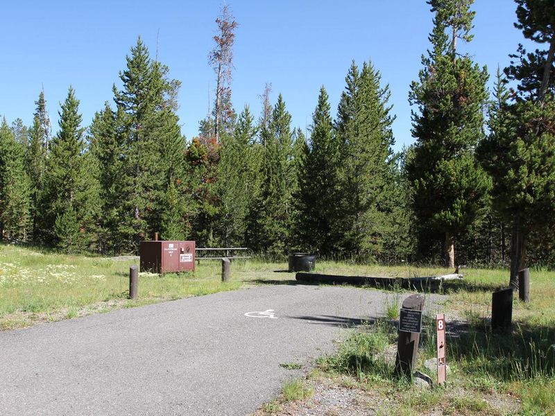 Indian Creek Campground site #8