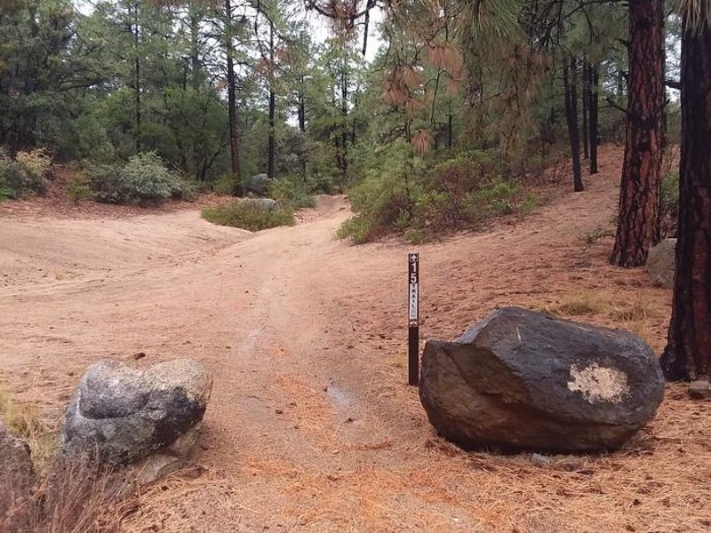Alto Pit trail marker