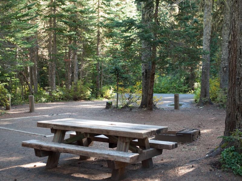 Takhlakh Lake Campsite