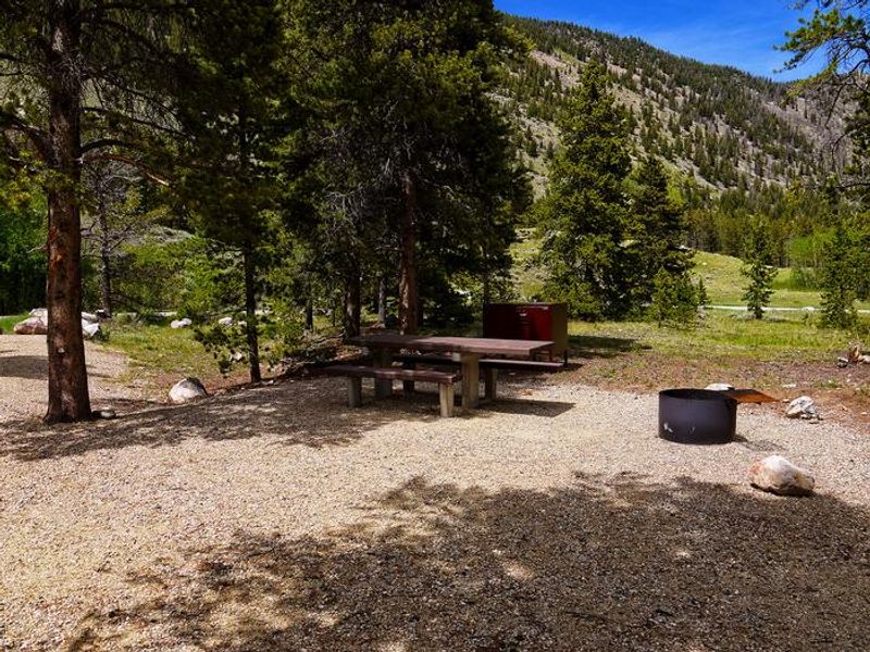 Campsite in Limberpine Campground