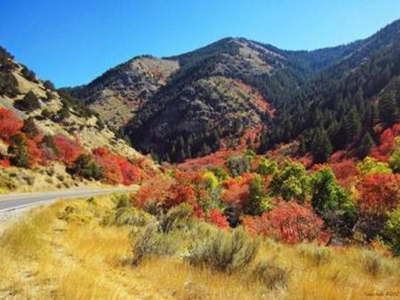 Blacksmith Fork Canyon State Route 101
