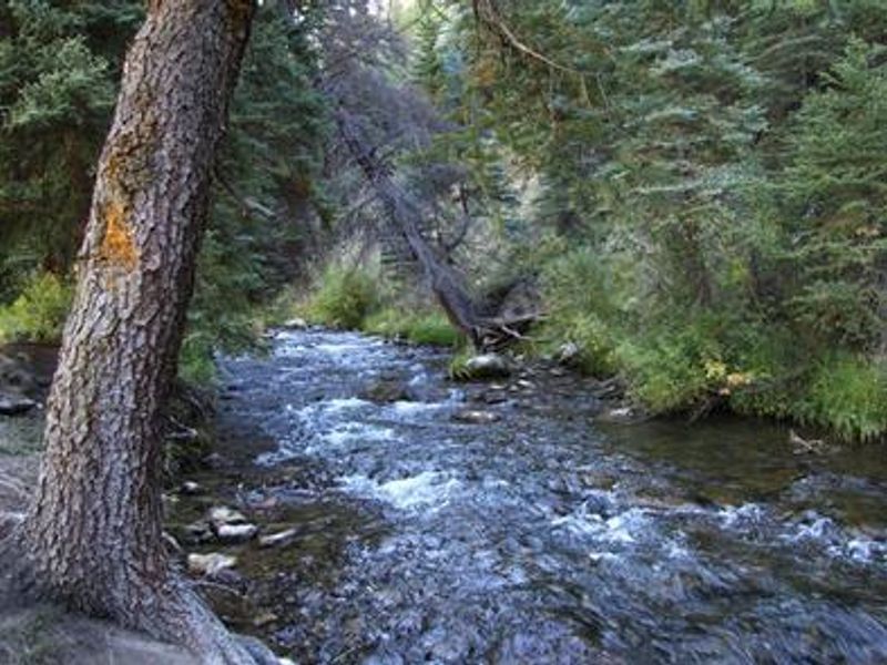 Big Rock Group Campground