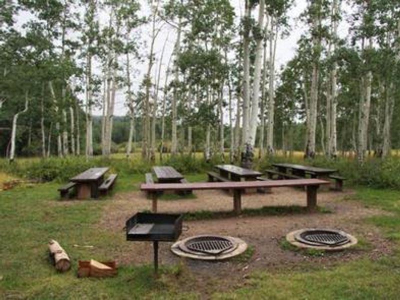 Group site Picnic tables