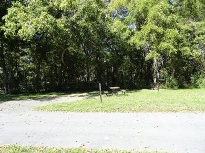 A campsite at Alley Spring with picnic table