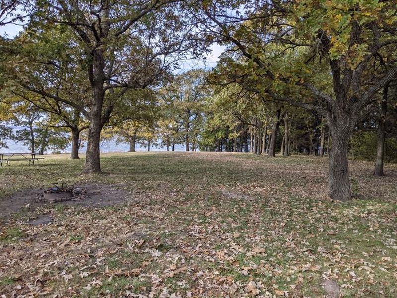 Timber Creek - Looking into the trees