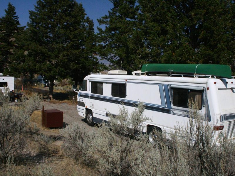 Mammoth Campsite #38