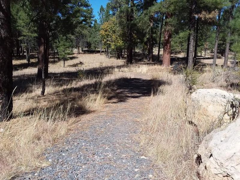 TEN-X Campground Nature Trail