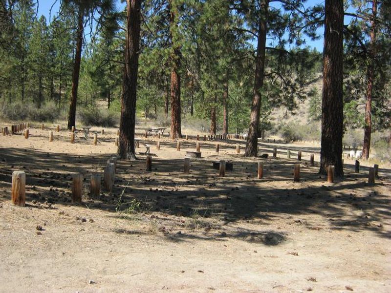 Jones Bay Campground sites with trees in the background.