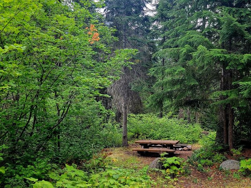 Black Pine Horse Camp - Site 14
