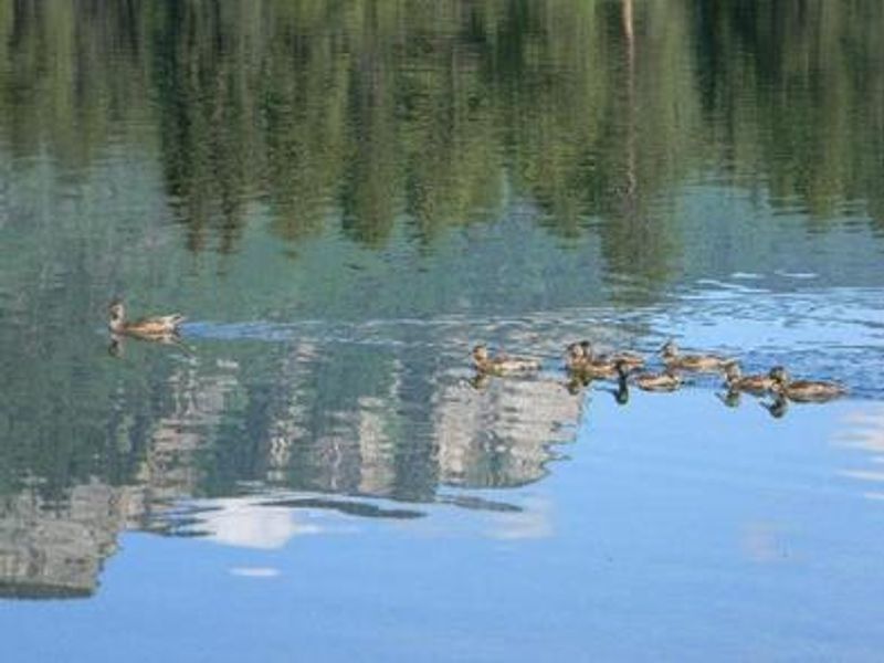 HAVILAND LAKE CAMPGROUND