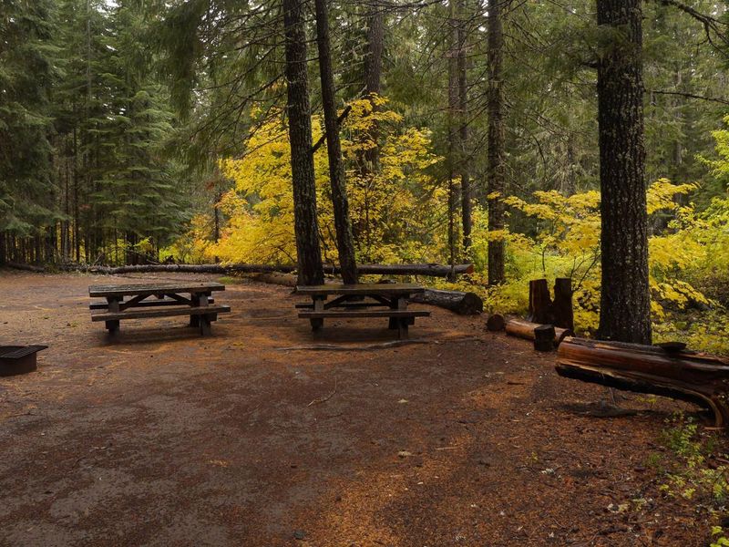Peterson Prairie Campground in fall