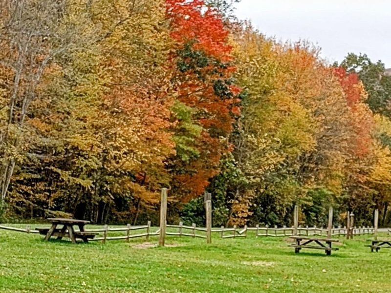 Fox Creek Horse Camp in the Fall