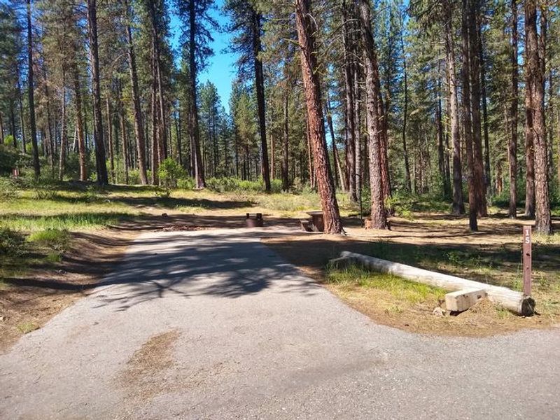 Site 15 at Grayback Gulch.