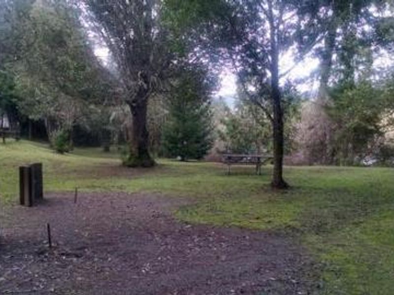 View of horseshoe pits at Tyee Campground.