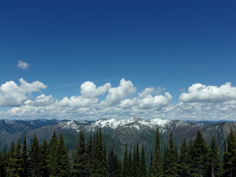 Fresh snowfall on the Moose Mountain Range