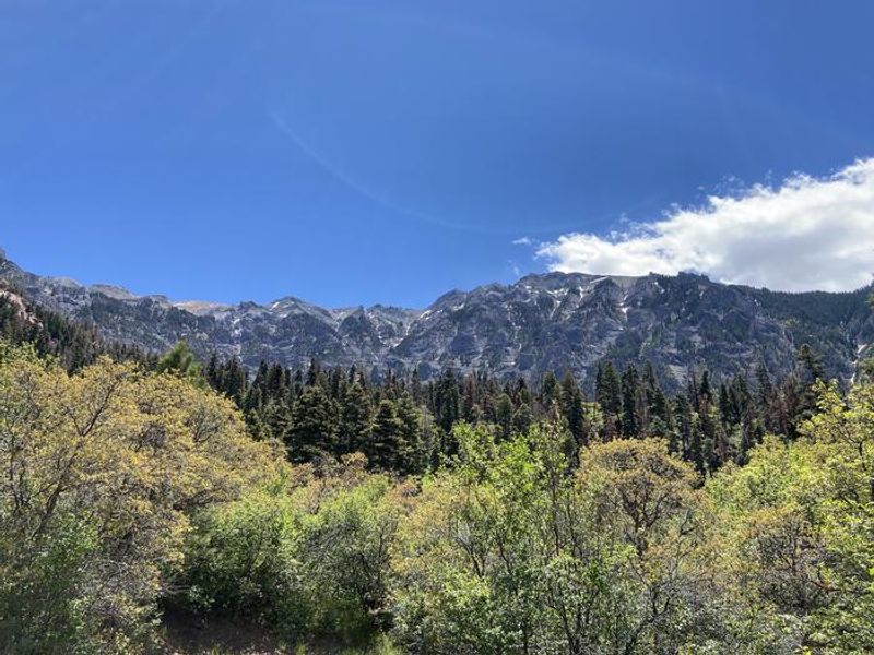 A photo of facility AMPHITHEATER (CO) with Picnic Table, Fire Pit, Tent Pad, Lantern Pole