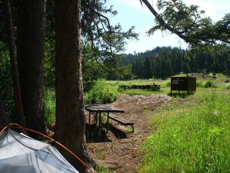 Slough Creek Campground Site #9