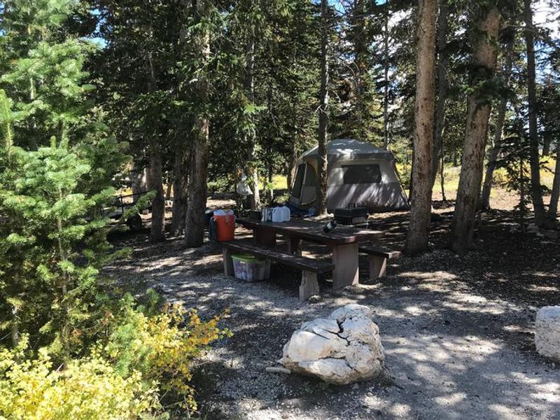 Twelve Mile Flat Campground