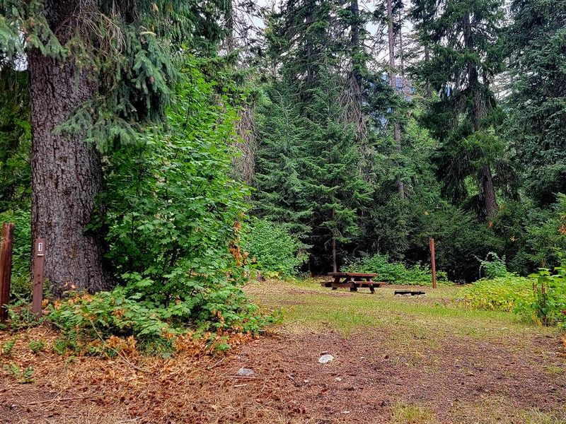 Black Pine Horse Camp - Site 1