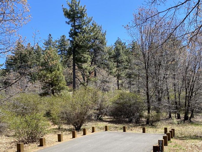 Campsite Laguna Campground
