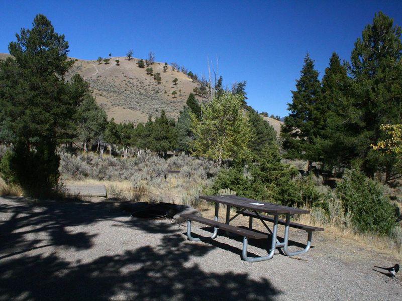 Mammoth Campsite #85