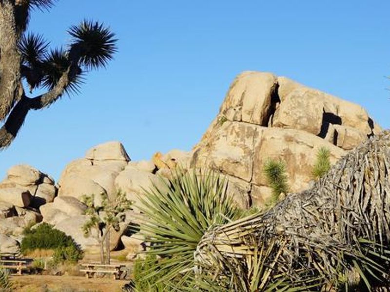 A view of Ryan Campground