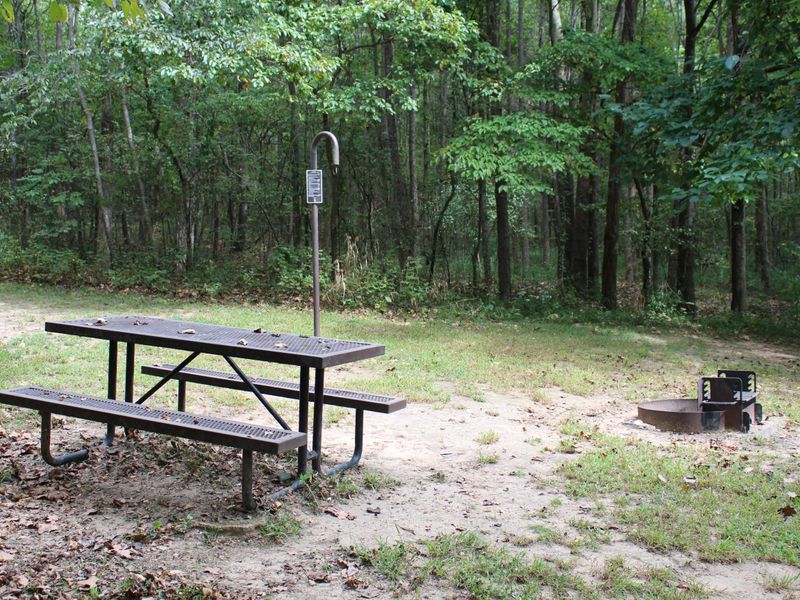 Each campsite has a picnic table, fire ring and lantern hook.