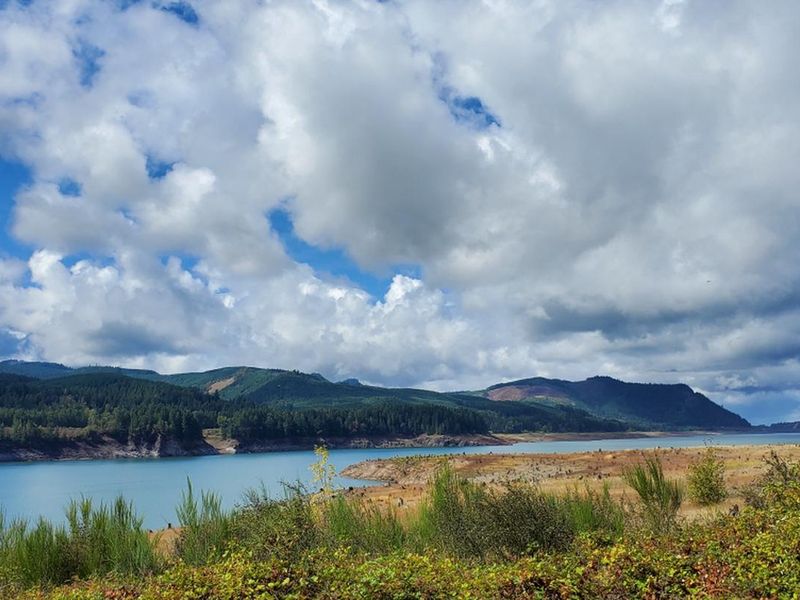 View of Lookout Point Reservoir from Ivan Oakes Campground