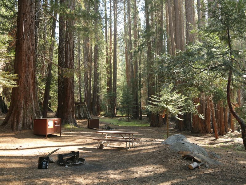 Atwell Mill's campsites are in a shady sequoia grove.