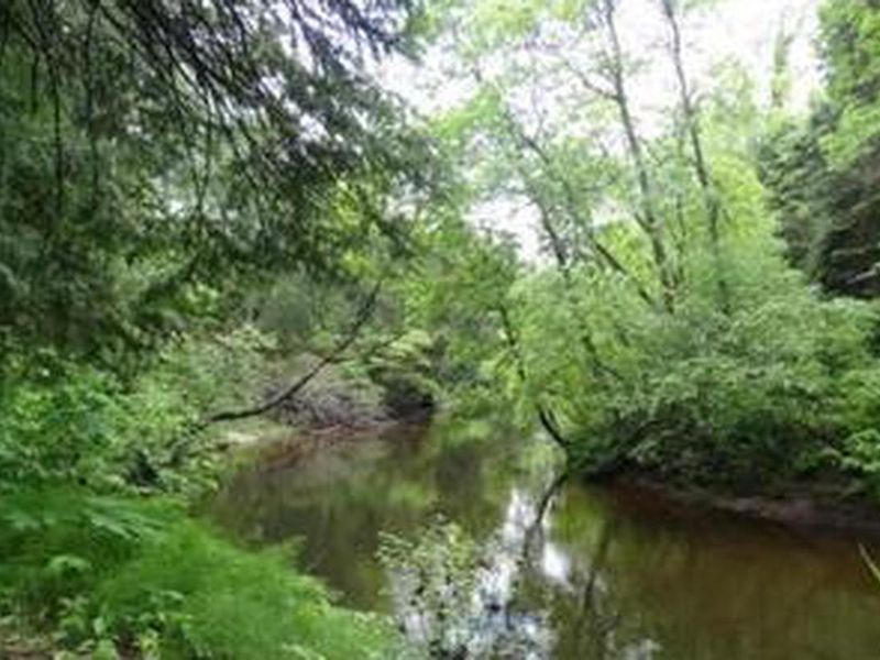 CARP RIVER CAMPGROUND