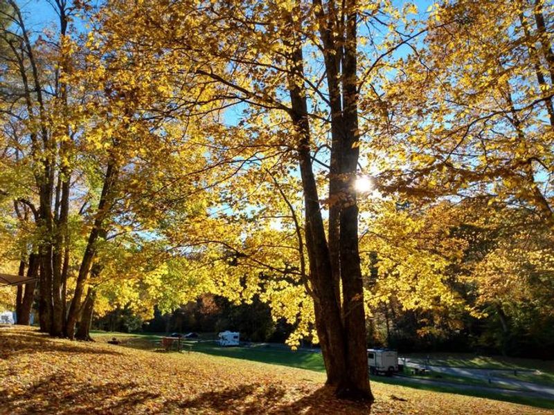A glorious fall day at Linville Falls Campground