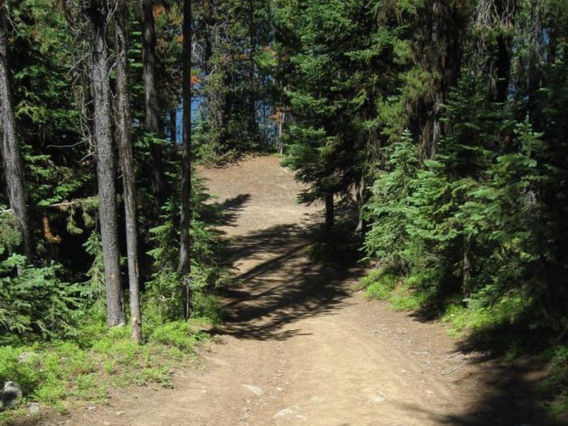 Olive Lake Loop Trail