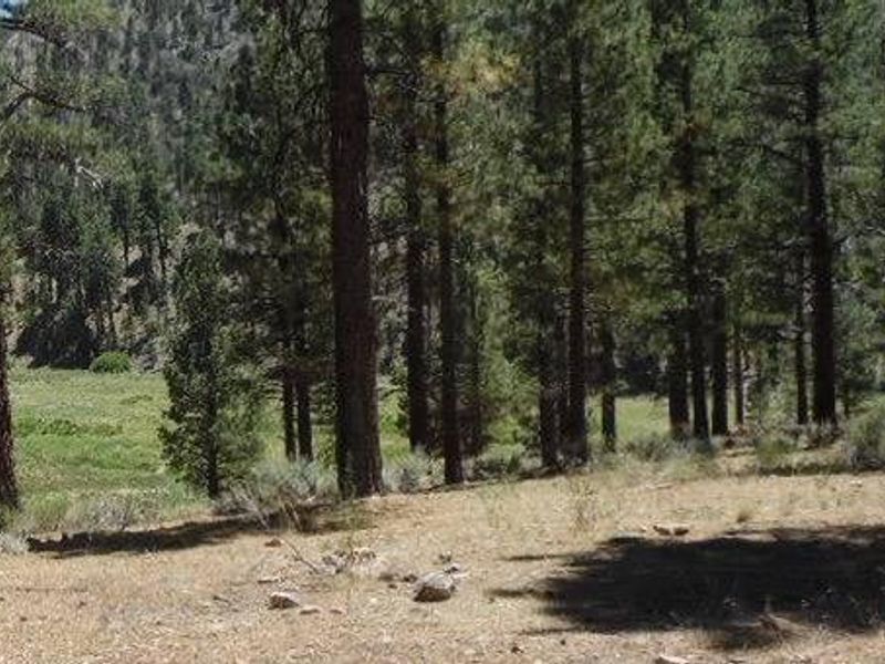  Heart Bar Campground