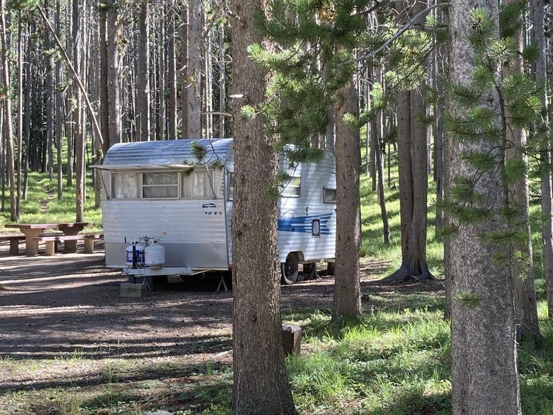 Camper nestled in wooded campsite.
