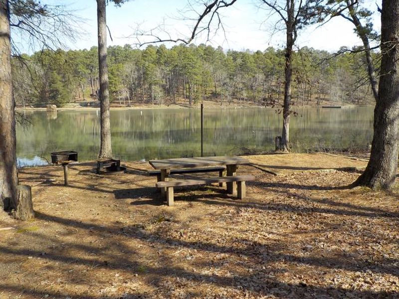 Campsite with Lake View