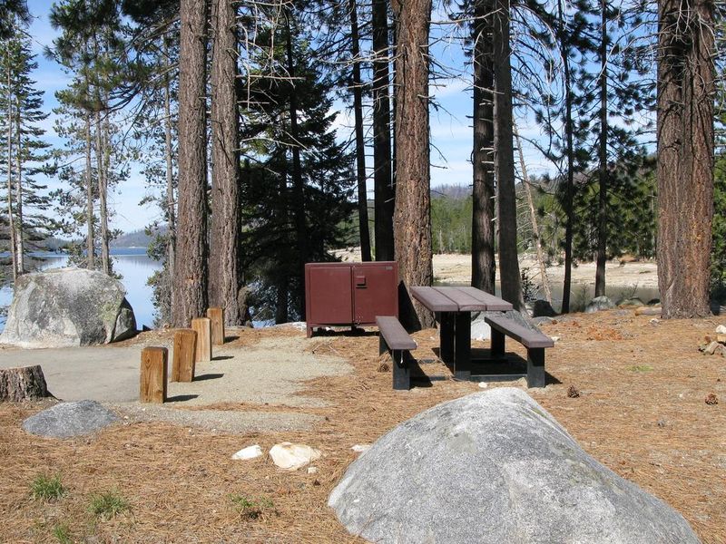 Camping site with picnic table, fire pit and bear bin