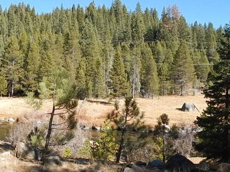 SILVER CREEK CAMPGROUND - TRUCKEE