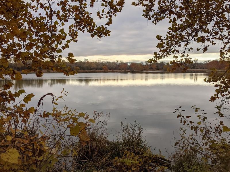 A view of the gathering pond through fall trees