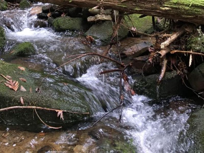 peaceful, uncrowded camping