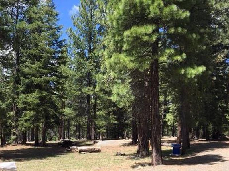 Blue Lake Campground Group Site  