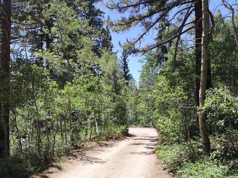 A photo of facility Leavitt Meadows with No Amenities Shown