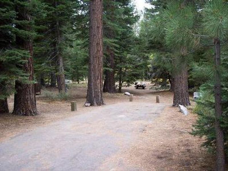 Each campsite has a picnic table, fire ring and a food locker