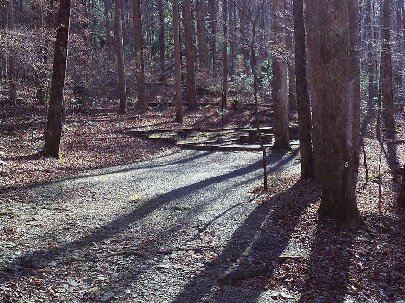 Site #5 is the first site on the right when you go up the hill