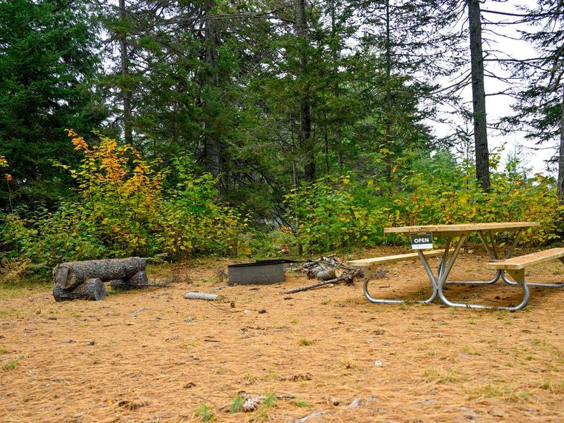 Hike or bike into Wassataquoik Campsite from Wassataquoik parking lot or by the IAT.