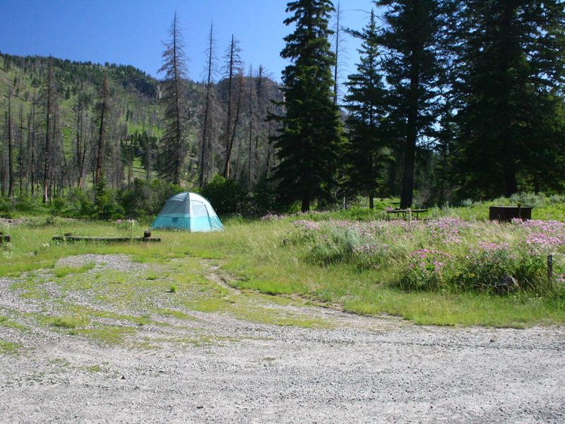 Slough Creek Campground Site #4