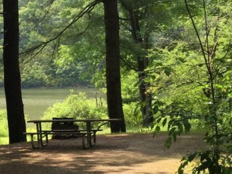 Peaceful camping location